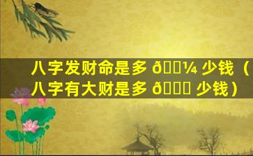 八字发财命是多 🌼 少钱（八字有大财是多 🕊 少钱）